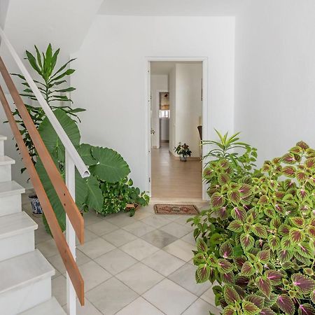Apartamento Los Naranjos En Vejer Vejer de la Frontera Buitenkant foto