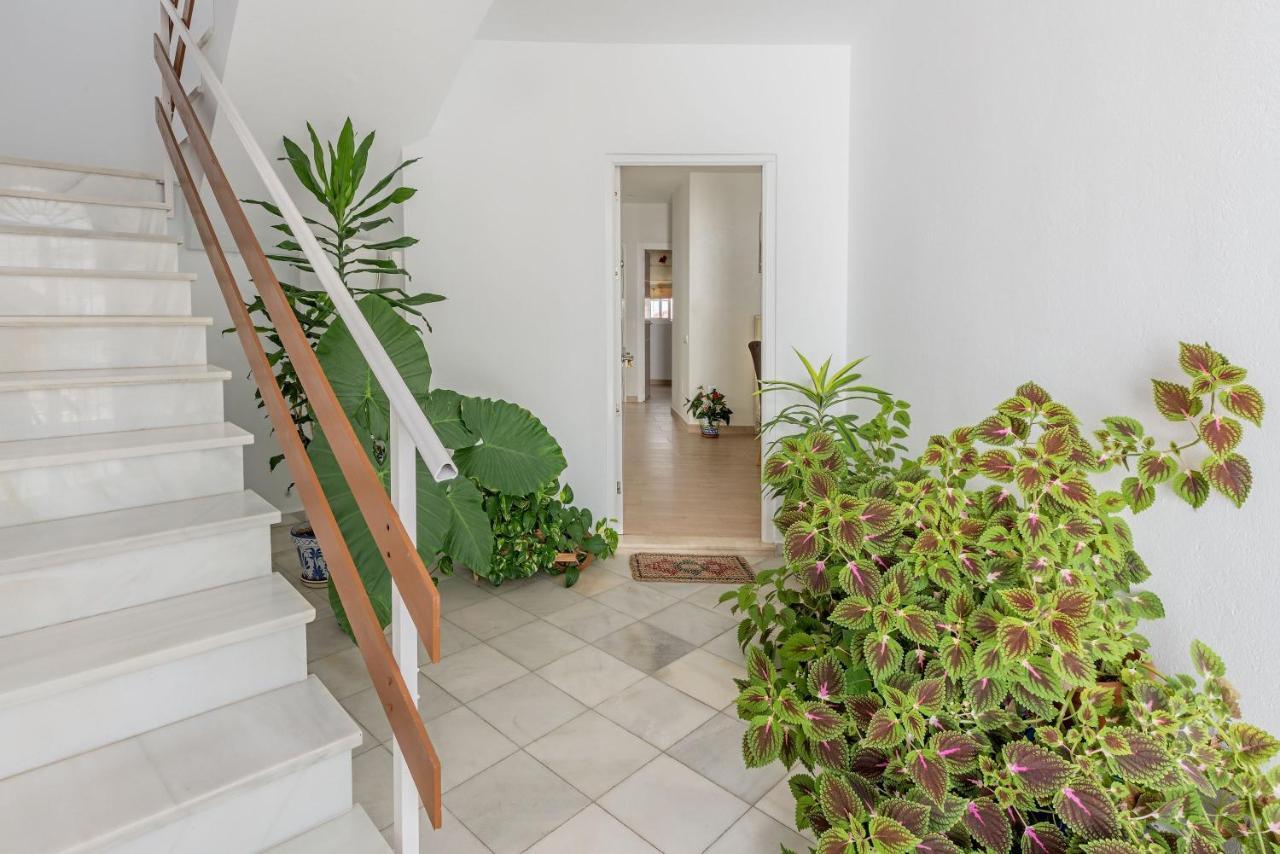 Apartamento Los Naranjos En Vejer Vejer de la Frontera Buitenkant foto